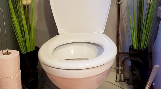 Toilette - Domaine des Rigauds